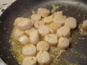 scallops