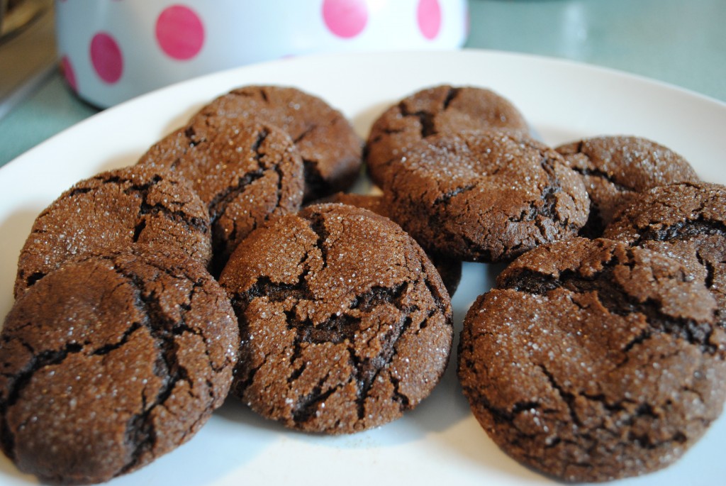 Chocolate Molasses Crinkle Cookies Cat Can Cook