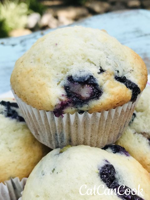 Easy Blueberry Muffins Recipe - Cat Can Cook - Easy Recipes